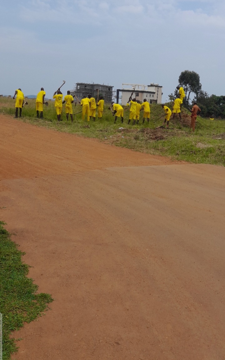 Skills Training
